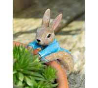 Pot Buddies Beatrix Potter Figurine de Peter Rabbit grimpante pour pot de fleurs - Décoration de jardin - Figurine décorative pour pot de fleurs
