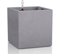 Lechuza Canto Stone Cube 40 Kit Complet, Plastique, Gris Pierre, 40 x 40 x 40 cm