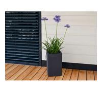 Pot Carré Haut Basalt'up - 36 L - Gris Anthracite Eda Plastiques
