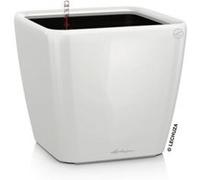 Pot carré Lechuza Premium LS blanc brillant 43 x 43 x h.40 cm