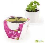 Radis et Capucine - Pot de culture en céramique - Basilic Grand vert - 8 cm