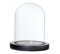 Pot Cloche en Verre avec Base en Bois pour Paysages et Terrariums DIY - Nouvelles Tailles Disponibles !, Noir B