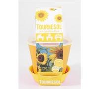 Pot Cloche Tournesol G