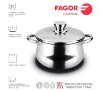 Fagor 78596 Cocotte Inox Silverinox + Couvercle Acier Inoxydable Multicolore D 24 cm Steel