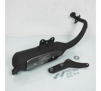 Pot D Échappement Giannelli Pour Scooter Peugeot 50 Vivacity 2 31665r Neuf