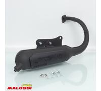 Pot d échappement Malossi pour Scooter Peugeot 50 Vivacity 2T Après 1999 Wild