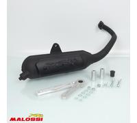Pot D Échappement Malossi Pour Scooter Piaggio 50 Typhoon 2011 3217172 / Wild Lion Neuf