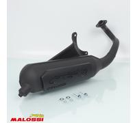Pot D Échappement Malossi Pour Scooter Piaggio 50 Zip Sp 2t 1999 Wild Lion / 3216590 Neuf