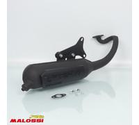 Pot D Échappement Malossi Pour Scooter Yamaha 50 Aerox Après 1997 3216583 / Wild Lion Neuf
