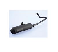 Polini Pot d'échappement Kisbee 50 4T Non homologué Argenté 190.0080