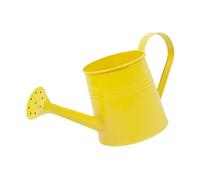 Pot d'arrosage intérieur: canette en métal à Pics à 1 rallonge pour d'intérieur et Fleurs | Cube d'arrosage de Fleurs de précision avec poignée, boîte d'arrosage décorative pour la décoration