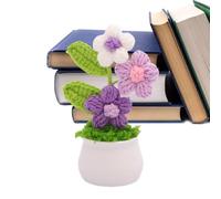 Pot De Au Crochet Décoration colorée Faite Main en dégradé