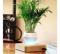 Pot de bonsaï à Air en lévitation, Pot de fleur rotatif, jardinières à Suspension magnétique, Pot flottant, plante en Pot pour la maison sans plantes wood grain