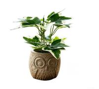 Pot de chouette fantaisiste avec lierre panaché réaliste de 16,5 cm - Plante artificielle compacte pour la maison, le bureau, l'étagère, la décoration - pas d'arrosage nécessaire - Cadeau rustique