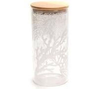 Pot de conserve Coralie 16.8 cm - Amadeus - Transparent - Transparent G