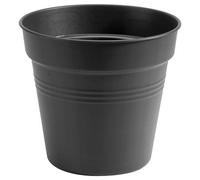 elho Pot de Culture GREEN BASICS - Living Noir - Ø 19 cm