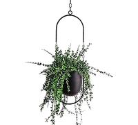 Pot de décoration à suspendre en métal style bohème pour plantes d'intérieur, plantes grasses, cactus (noir)