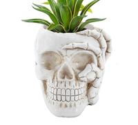 Pot de en forme de tête de mort - Vase unique en forme de tête de mort - Décoration d'Halloween - Pots décoratifs polyvalents pour d'extérieur - Rehausse la décoration de Noël