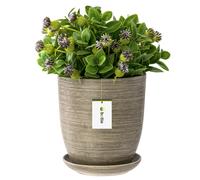 Pot de fleur béton avec soucoupe Rond Surface mat céramique glamour moderne
