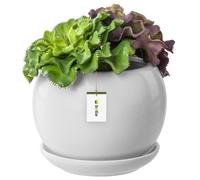 botle Pot de fleurs rond avec soucoupe - En céramique - Blanc brillant - 140 x 130 mm - Surface brillante - Moderne et glamour
