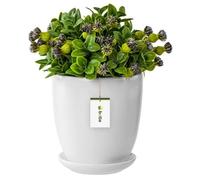 Pot De Fleur Blanc Avec Soucoupe Rond Dimensions 240 Mm X 260 Mm Surface Brillant Céramique Glamour Moderne Multicolore