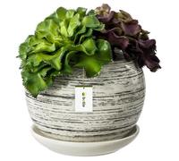 Pot De Fleur Blanc Essuyé Avec Soucoupe Rond Dimensions 110 Mm X 100 Mm Surface Brillant Céramique Glamour Moderne Multicolore