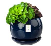 Pot de fleurs en céramique Boule à la main avec soucoupe 3 tailles 15 couleurs