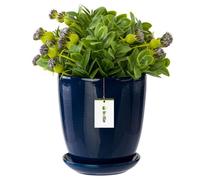 Pot de fleur bleu foncé avec soucoupe Rond dimensions 320 mm x 345 mm Surface brillant céramique glamour moderne
