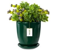 Pot de fleur bouteille verte avec soucoupe Rond 195 mm x 215 mm Surface brillant