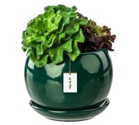 Pot De Fleur Bouteille Verte Avec Soucoupe Rond Dimensions 110 Mm X 100 Mm Surface Brillant Céramique Glamour Moderne Multicolore
