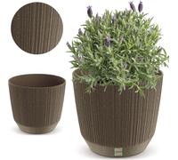 Pot de fleur Cabinet de maison 19.5 cm Ryfo pour seuil de table Home Coffee