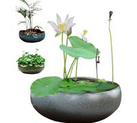 Pot de Fleur de Bol de Lotus, Bol Rond de Lotus, Bol de lys d'eau Claire, Bol de Lotus cultivé dans l'eau intérieure, Plantes hydroponiques succulentes Florales sans Support (Gris+s)