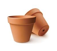 GRAINE CREATIVE Pot de fleur en terre cuite diamètre 80 mm