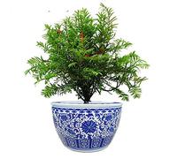 Pot de Fleur en céramique de Jardin extérieur surdimensionné Jingdezhen Pot de Fleur en Porcelaine Bleue et Blanche Oranger Bonsaï Arbre fruitier Arbre de Fortune Osmanthus Pot d'arbre intérieur