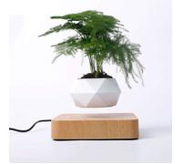 Pot De Fleur Flottant à Suspension Magnétique de Bureau, Marron Pot à Bonsaï de Lévitation D'air Maison Fête Décor Plante Fleurs