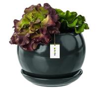 Pot De Fleur Graphite Avec Soucoupe Rond Dimensions 110 Mm X 100 Mm Surface Brillant Céramique Glamour Moderne Multicolore