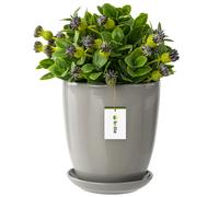 Pot de fleurs à fleurs avec soucoupe ronde 6 tailles et 12 couleurs céramique