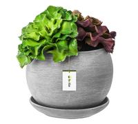 Pot De Fleur Gris Foncé Avec Soucoupe Rond Dimensions 110 Mm X 100 Mm Surface Mat Céramique Glamour Moderne Multicolore