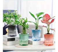 Pot de fleur hydroponique paresseux, Pot de fleurs automatique absorbant l'eau, Transparent, Double couche en plastique, jardinière auto-arrosage pour le bureau Blue
