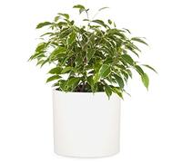 Jardinière en fibre de pierre pour intérieur/extérieur