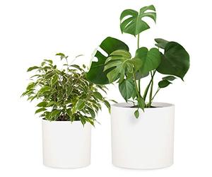 Pot de Fleur Interieur et Extérieur, Jardinieres Exterieur, Pot Plante Résistant UV et Gel avec Bouchon de Drainage, Fiberstone, Jardiniere, Pot de Fleur Exterieur Grande Taille, Lot de 2