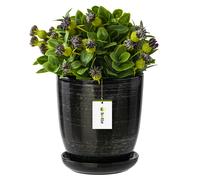 Pot De Fleur Noir Argent Avec Soucoupe Rond Dimensions 290 Mm X 300 Mm Surface Brillant Céramique Glamour Moderne Multicolore