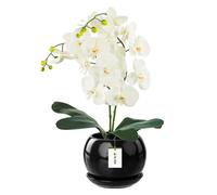 Pot de fleur Noir avec soucoupe Rond 170 mm x 160 mm brillant céramique glamour