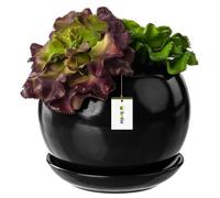 Pot De Fleur Noir Avec Soucoupe Rond Dimensions 110 Mm X 100 Mm Surface Brillant Céramique Glamour Moderne Multicolore
