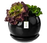 Pot de fleur Noir avec soucoupe Rond dimensions 140 mm x 130 mm Surface brillant