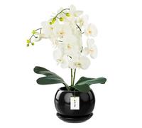 botle Pot de fleurs rond avec soucoupe - En céramique brillante - Noir - 170 x 160 mm - Surface brillante - Moderne et glamour