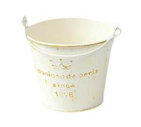 Pot de Fleur Pot de Plante Jardinière Ronde Fer Seau Métal avec Finition Rustique pour Utilisation Polyvalente Convient pour Bureau Maison Balcon, Modèle de Couronne