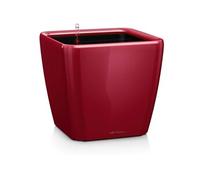 Lechuza - Pot de Fleurs d'Interieur - Premium Quadro Ls - Réserve d'Eau Intégrée - Coloris Rouge Scarlet - 50 x 50 x 47 cm