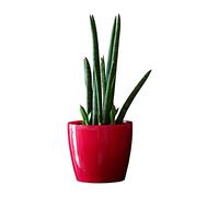 Pot de Fleur Rond Cache Pot en Plastique Jardiniere pour Plantes PlantesExterieures et Interieures Pot Brillant Rouge D 300 mm H 265 mm