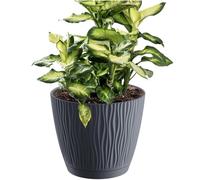 Pot de fleurs 0,6L SANDY P 168x168x157 mm, Anthracite